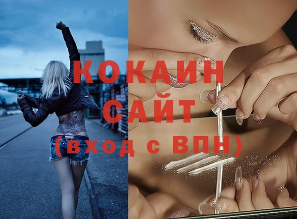 шишки Инсар