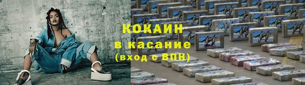 шишки Инсар